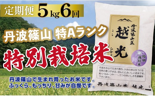 〈定期便 特Aランク 減農薬〉令和7年産 丹波篠山産 特別栽培米 コシヒカリ 越光  【5kg × 6回】 | 丹波篠山 お米 おこめ ブランド米 ごはん ご飯 白米 米 コメ こめ 精米 精白米 おいしい米 美味しいお米 兵庫県 お取り寄せ こしひかり コシヒカリ