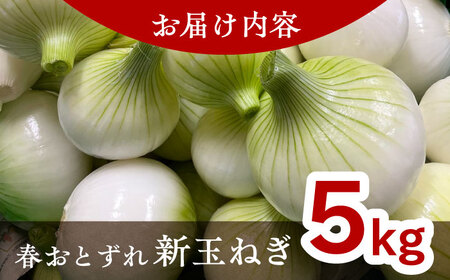 【訳あり】【数量限定30個】【先行予約/2026年6月上旬以降順次発送】美味しまねゴールド認証取得！ 松江市産 春おとずれ新たまねぎ 5kg 島根県松江市/mishiro farm[ALIJ001]