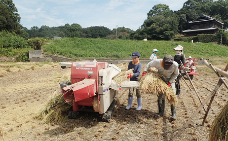 天日干しコシヒカリ10kg 兵庫県 洲本市 淡路島