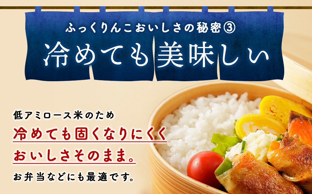 【6ヵ月定期便】北海道 木古内町産 ふっくりんこ 5kg 家計応援米　北海道米　お米・ふっくりんこ・米・6ヶ月・6回