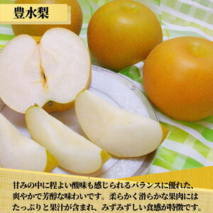 【先行予約限定】 茨城県産【豊水梨】約5kg【茨城県共通返礼品　かすみがうら市産】※2025年8月下旬～9月下旬頃に順次発送予定 ※離島への配送不可