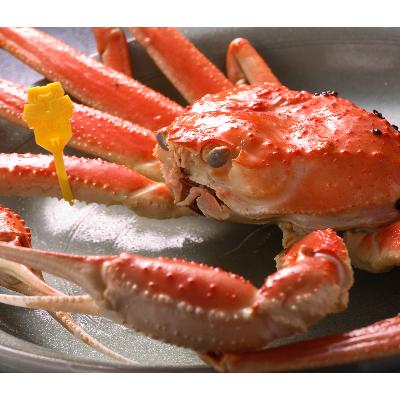 ふるさと納税 鯖江市 【11月6日漁解禁】福井冬の味覚!越前がに 1杯 (1,000〜1,100g) |  | 01