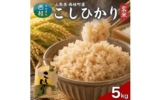 コシヒカリ【玄米】 5キロ 1袋 / 国産 こしひかり  5キロ 令和7年産 米 お米 保存袋 生活必需品 ギフト 贈り物 お歳暮 ふるさと納税 送料無料【n0668-05_gou】