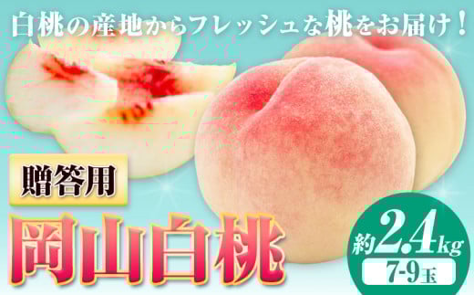【令和8年度先行予約】贈答用 桃 内容量 2.4kg ハレノフルーツ （犬塚農園） 《2026年6月末-8月中旬頃出荷》岡山県 浅口市 フルーツ モモ 果物 青果 旬 おかやま夢白桃 白麗 白鳳 清水白桃 なつごころ 加納岩白桃【配送不可地域あり】（北海道・沖縄・離島）