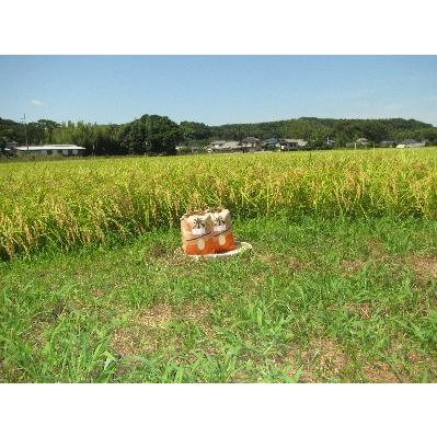 ふるさと納税 行方市 令和7年産　ミルキークイーン10kg(5kg入×2袋) |  | 01