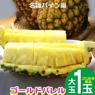 2026年発送【名護パイン園】　ゴールドバレル（大玉1玉） 先行予約　 パインアップル パイナップル 期間限定 数量限定 フルーツ くだもの 果物 贈答 贈り物 プレゼント 人気 おすすめ 南国 お土産 ギフト デザート 青果 沖縄 おきなわ 年末