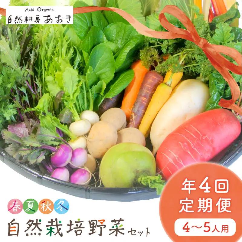 【4回定期便】春夏秋冬自然栽培野菜セット(年4回)4～5人用 野菜