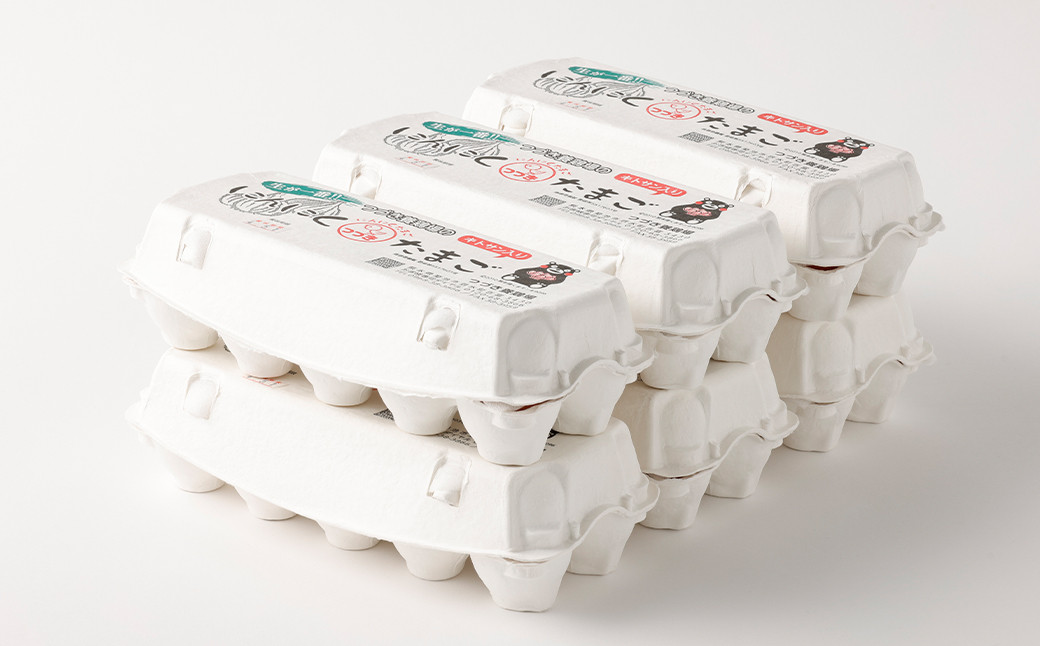 にんにくたまご 60個 卵 にんにく卵 鶏卵 熊本県産 九州産 冷蔵 送料無料