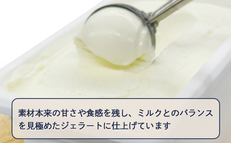 自家製ジェラート 4L（ミルク）【60006201】
