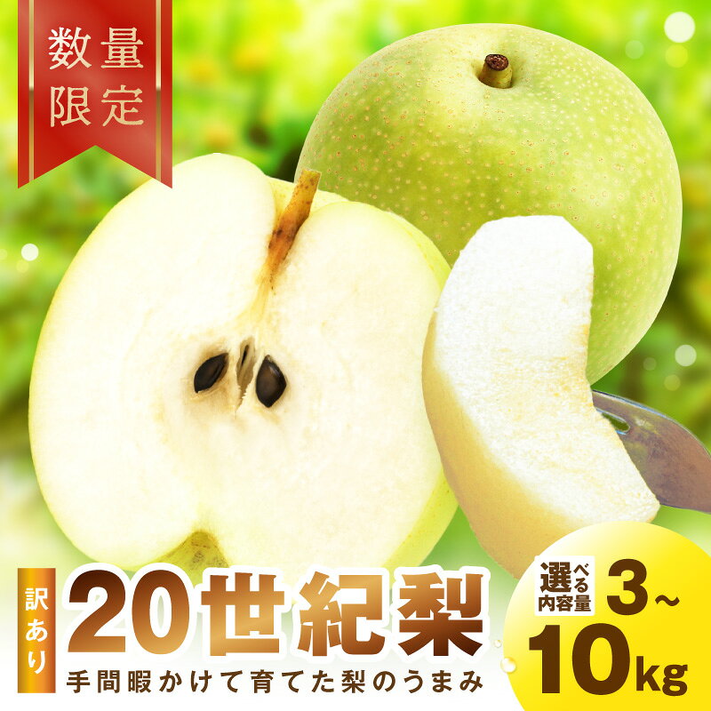 【ふるさと納税】2026年秋発送【先行予約／数量限定】訳あり 廿世紀梨 3kg 5kg 10kg（2026年9月上旬～発送）選べる 内容量 フルーツ くだもの 国産 梨 二十世紀 20世紀 廿世紀 ふるさと 納税 梨 ふるさと納税 フルーツ ふるさと 納税 20世紀梨 わけあり ワケアリ 訳有り