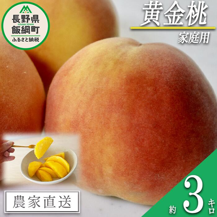 【ふるさと納税】 もも 黄金桃 ( 袋かけ無し ) 家庭用 3kg 松橋りんご園 配送先は本州限定 令和7年度収穫分 長野県 飯綱町 〔 信州 果物 フルーツ モモ 桃 長野 15000円 予約 農家直送 〕発送時期：2025年8月下旬〜2025年9月上旬