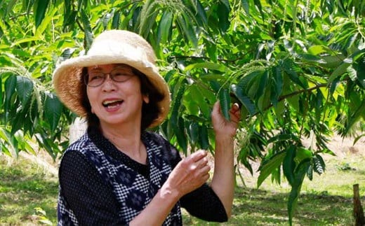 栗の選果作業は特に重要で、ベテランの選果職人さんが厳しく丁寧に選果をおこないます。ベテランの技で選別された一級品をお届けします。