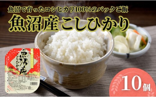 【パックご飯 10個】魚沼産コシヒカリ 180g×10 ごはんソムリエ監修 たかの | 魚沼産こしひかり 魚沼コシヒカリ パックご飯 パックごはん パックライス レンジ お米 白米 こしひかり 常温保存 備蓄 180g にいがた おぢや 新潟県 小千谷市 【0002-0363SV02】