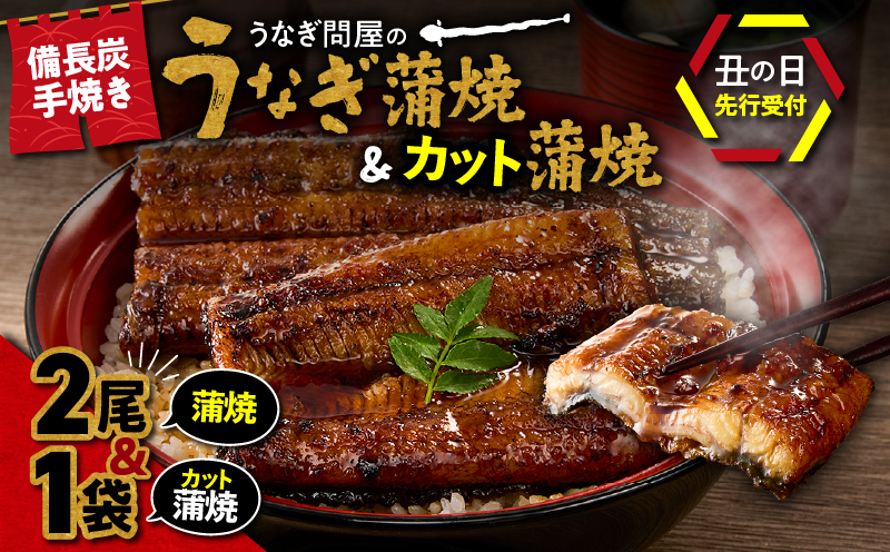 【土用の丑の日予約】うなぎ問屋の備長炭手焼うなぎ蒲焼２尾+カット１枚（計400g）