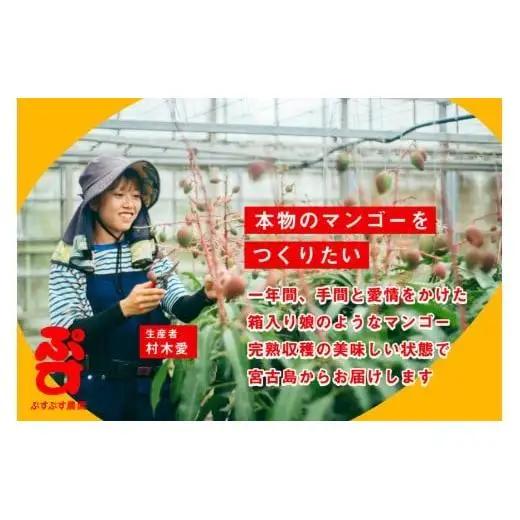 【ぷすぷす農園】＜2026年発送先行予約＞宮古島産完熟マンゴー(家庭用／1キロ／農園直送)（KY001）