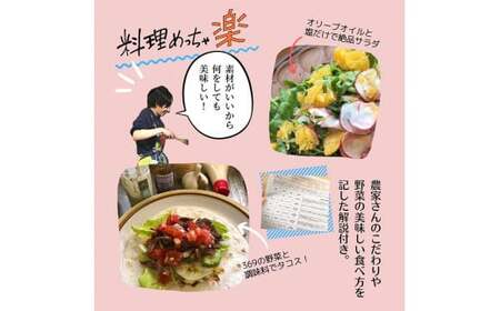 【10回定期便】＜３６９商店＞京都丹波産旬の野菜セット　※全て栽培期間中農薬・化学肥料不使用 ※北海道・沖縄・離島への配送不可