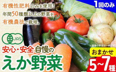 えか野菜 おまかせ5～7種セット 有機JAS認定 株式会社えか自然農場《30日以内に出荷予定(土日祝除く)》千葉県 流山市 オーガニック 無農薬 化学肥料不使用 旬 送料無料