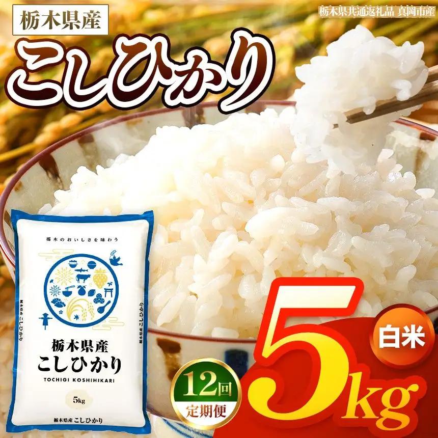 【令和8年産 新米】 【定期便12回】栃木県産 お米 こしひかり　（白米） 5kg 【2026年秋以降発送 】 |  栃木県 矢板市 【栃木県共通返礼品 真岡市産】