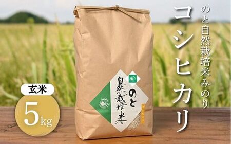 のと自然栽培米みのり 玄米 5kg ※2025年12月中旬～2026年3月下旬頃に順次発送予定