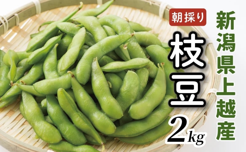 
            【7月中旬～発送／数量限定】朝採りを産地から当日発送！ 新潟上越「高田圃場」の採れたて枝豆 たっぷり2kg 上越市 えだまめ
          