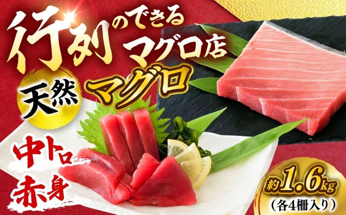 
                  天然 まぐろ 中トロ＆赤身 各4柵（計約1.6kg）マグロ 中トロ 赤身 鮪 中とろ 本マグロ 冷凍 刺身 天然 高級 メバチまぐろ お取り寄せ ギフト 神奈川 横須賀  【横須賀商工会議所 おもてなしギフト事務局（本まぐろ直売所 横須賀本店）】 [AKAK117]
                