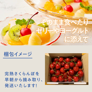 【2027年先行予約】完熟大玉・さくらんぼ（3L～4Lバラ 約700g） さくらんぼ [h039]