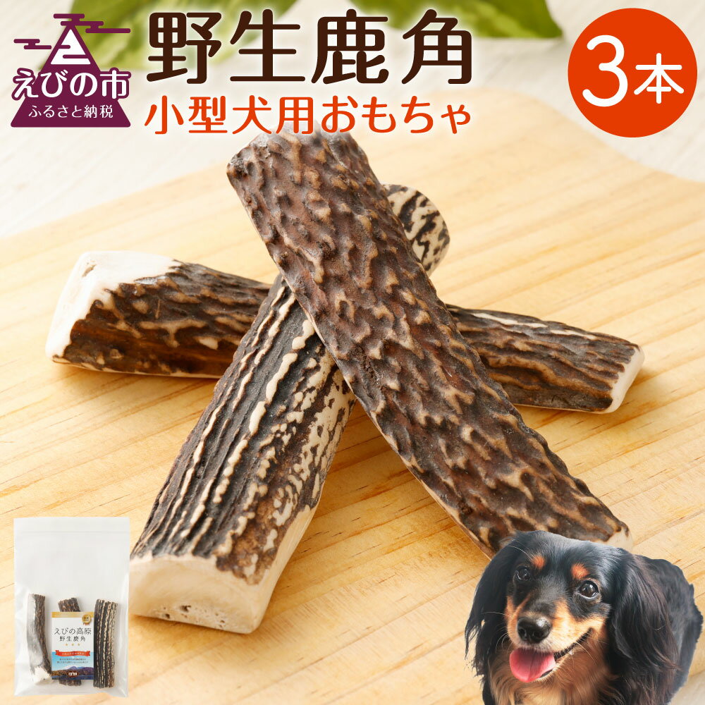 【ふるさと納税】野生鹿角 3本 長さ10cm 幅2〜3cm程度 小型犬用 おもちゃ 犬用 鹿の角 半割角 犬 ガム 骨 デンタルケア 宮崎県産 送料無料