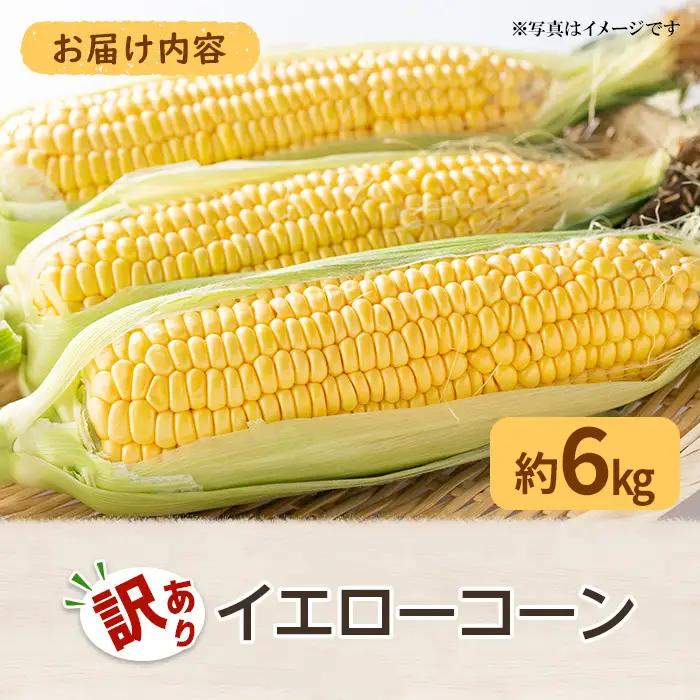 ＜先行予約！2027年6月上旬以降順次発送予定＞＜訳あり・家庭用＞イエローコーン(約6kg) 香川県 国産 トウモロコシ とうもろこし 新鮮 冷蔵便 【man114-B】【Aglio nero】
