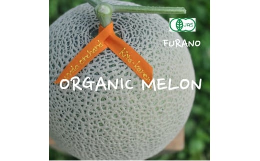 オーガニックメロン 2玉入り箱 3.8kg以上 赤肉メロン＜2026年7月上旬より順次発送＞【1445852】