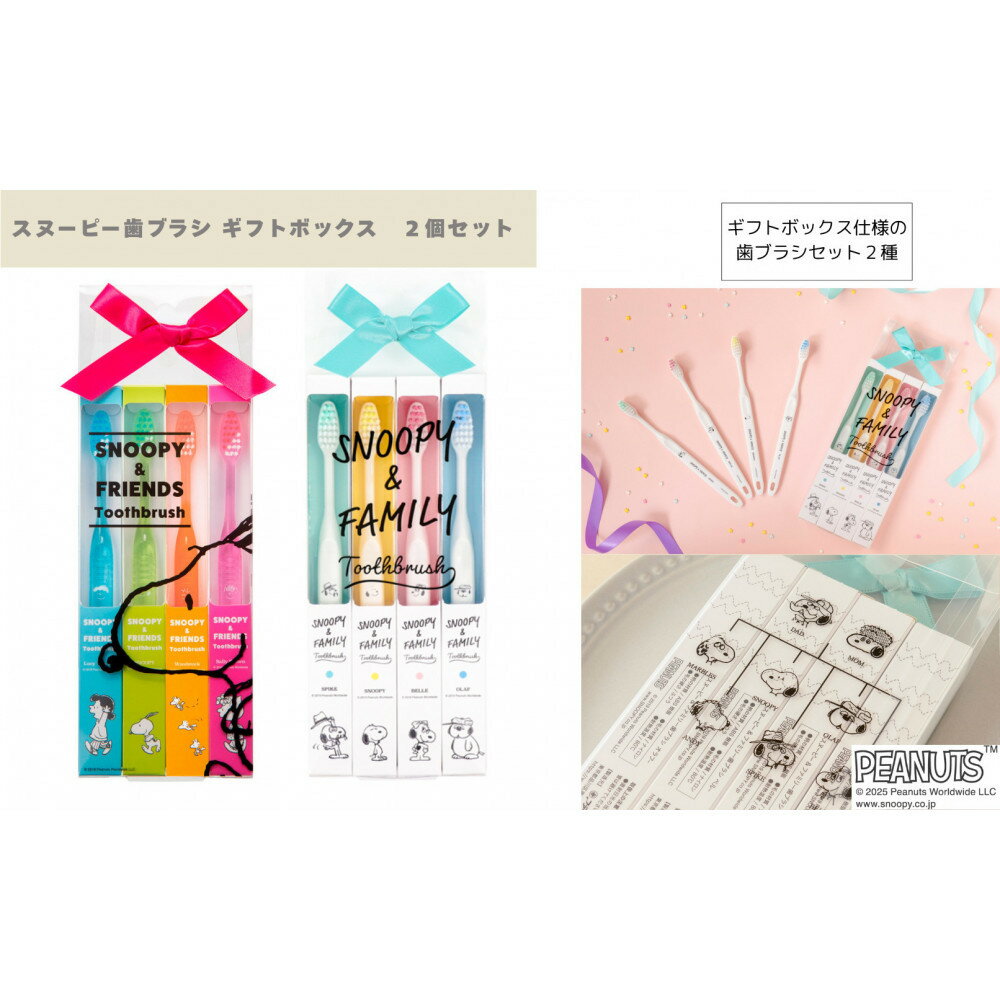 【ふるさと納税】スヌーピー歯ブラシ ギフトボックス　2個セット | 歯 デンタルケア 歯ブラシ ギフトボックス プレゼント セット スヌーピー 日用品 人気 おすすめ 送料無料