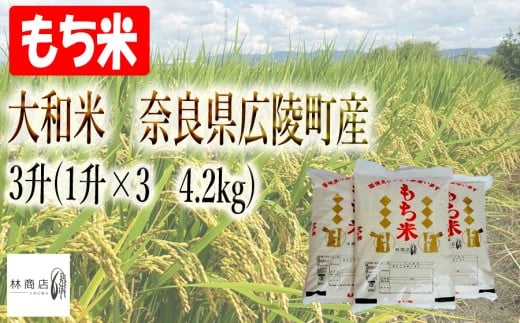 【令和7年度産】大和米　奈良県広陵町産　もち白米　3升(1升×3　4.2kg)/// ひのひかり ヒノヒカリ ブランド米 もち米 お餅 お正月 ご飯 お米 大和米 おにぎり おむすび 安心 安全 美味しい 人気 直送 奈良県 広陵町