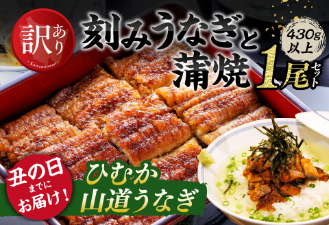 【丑の日までにお届け！】 【訳あり】 ひむか 山道うなぎ 蒲焼 1尾 と 訳あり 刻みセット （430ｇ以上） 【国産 九州産 宮崎県産 うなぎ ウナギ 鰻 鰻の蒲焼き 蒲焼 】 [C08406]