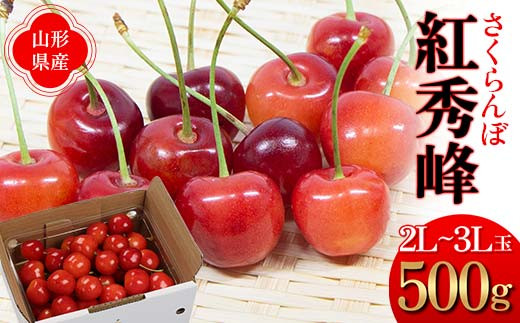 【2027年先行予約】さくらんぼ 紅秀峰 500g 秀品 2L～3Lサイズ FSY-1278