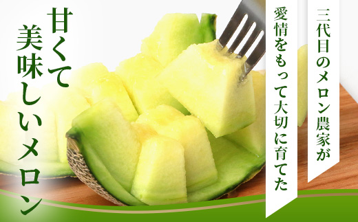 【2026年5月上旬発送開始】熊本県産 アンデスメロン 4〜5玉 約5kg 【 アンデス メロン フルーツ 果物 くだもの 熊本県 多良木町 】 083-0696