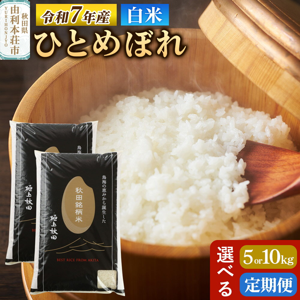 【ふるさと納税】令和7年産 【白米】極上秋田銘柄米 ひとめぼれ 《選べる容量 5kg／10kg×お届け回数 1回~》 5kg／10kg（5kg小分け袋）米 お米 白米 精米 ブランド米 銘柄米 秋田県産