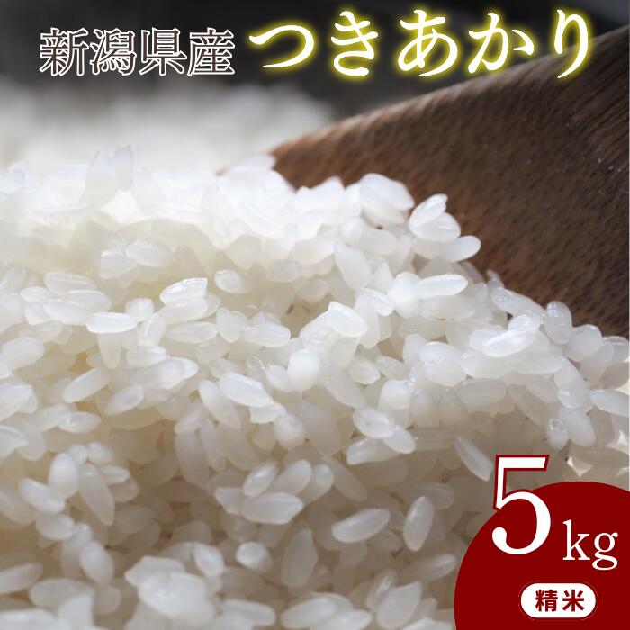 【ふるさと納税】米 5kg 新潟県産 令和7年産 つきあかり お米 精米 ごはん ブランド 品種 送料無料 新潟県 ご飯 おこめ 新潟産 新潟 見附 見附市 ファーム小栗山