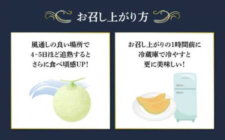 【予約注文】 ラブコール メロン 約1.3kg × 2玉 美味しい 甘い 高糖度 7月 青肉 フルーツ 果物 贈答 プレゼント 贈り物 追熟 送料無料 千葉県 銚子市 発送時期 2024年7月
