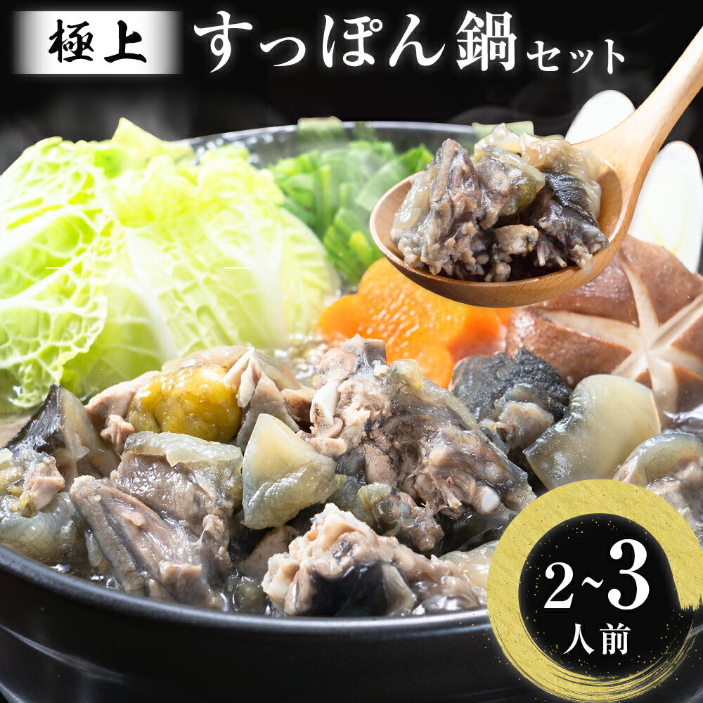 【ふるさと納税】 極上 すっぽん 鍋 セット （2~3人前） とらふぐ 活すっぽん料理鍋会席みはし《30日以内に順次出荷(土日祝除く)》