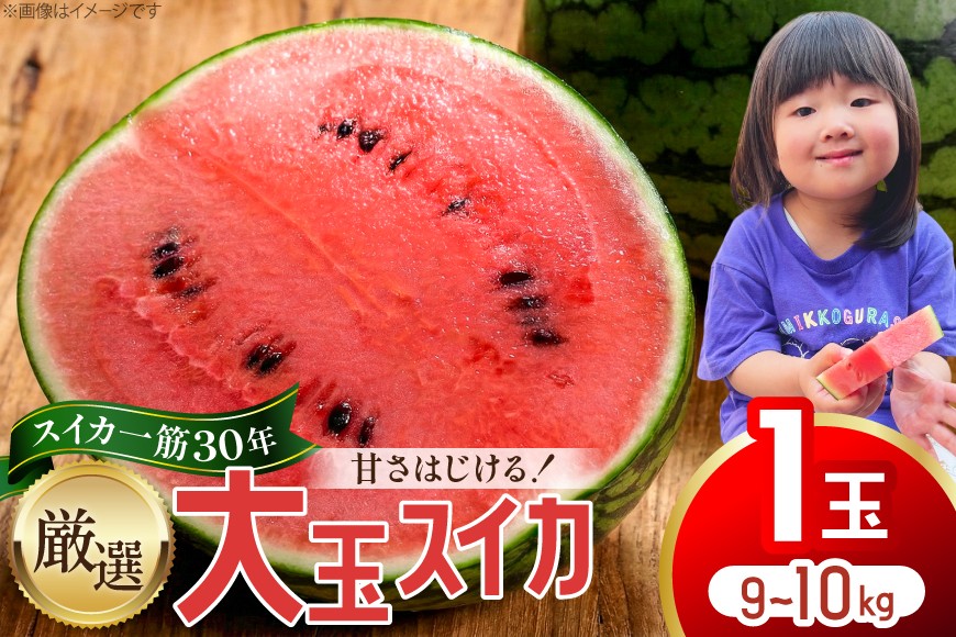 
                  BJ698 【令和9年出荷分】 Farm honda 大玉スイカ 1玉 9kg〜10kg [ スイカ すいか 西瓜 大玉すいか 肥後浪漫 羅皇ザ・スイート 羅王 ラオウ らおう あまい 本多光則農園 長崎県 島原市]
                