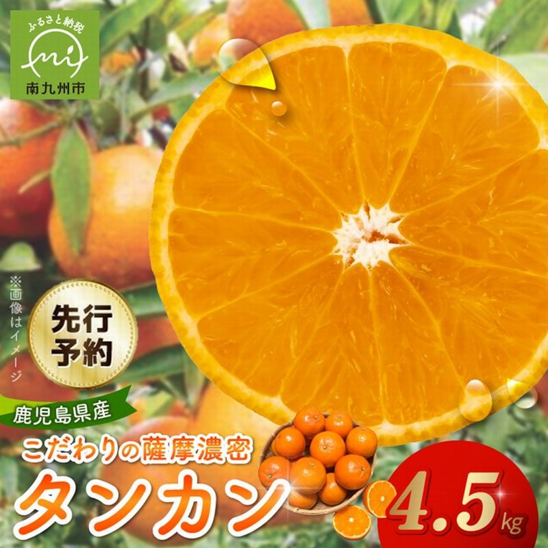 【ふるさと納税】【先行予約】こだわりの薩摩濃密タンカン4.5kg
