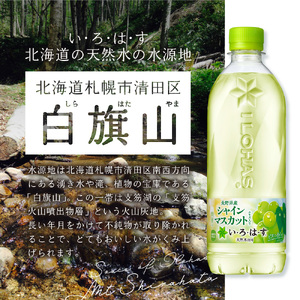 【２ヶ月定期便】い・ろ・は・す シャインマスカット540mlPET×24本｜コカ・コーラ 飲料 ドリンク 飲み物 水 北海道 札幌市