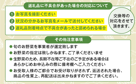 日時指定可能！旬のお野菜セット（サイズ中）【全12回定期便】