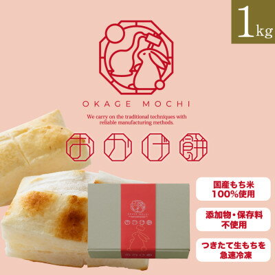 【ふるさと納税】おかげ餅 1kg【配送不可地域：離島】【1569144】