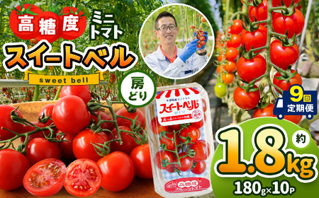 【定期便9回】 高糖度 ミニトマト スイートベル （ 房どり ） 180g × 10P | 野菜 トマト ミニトマト プチトマト トマト 高糖度 トマト とまと 小分け 君津とまとガーデン 定期便 定期 9回 千葉 君津 きみつ