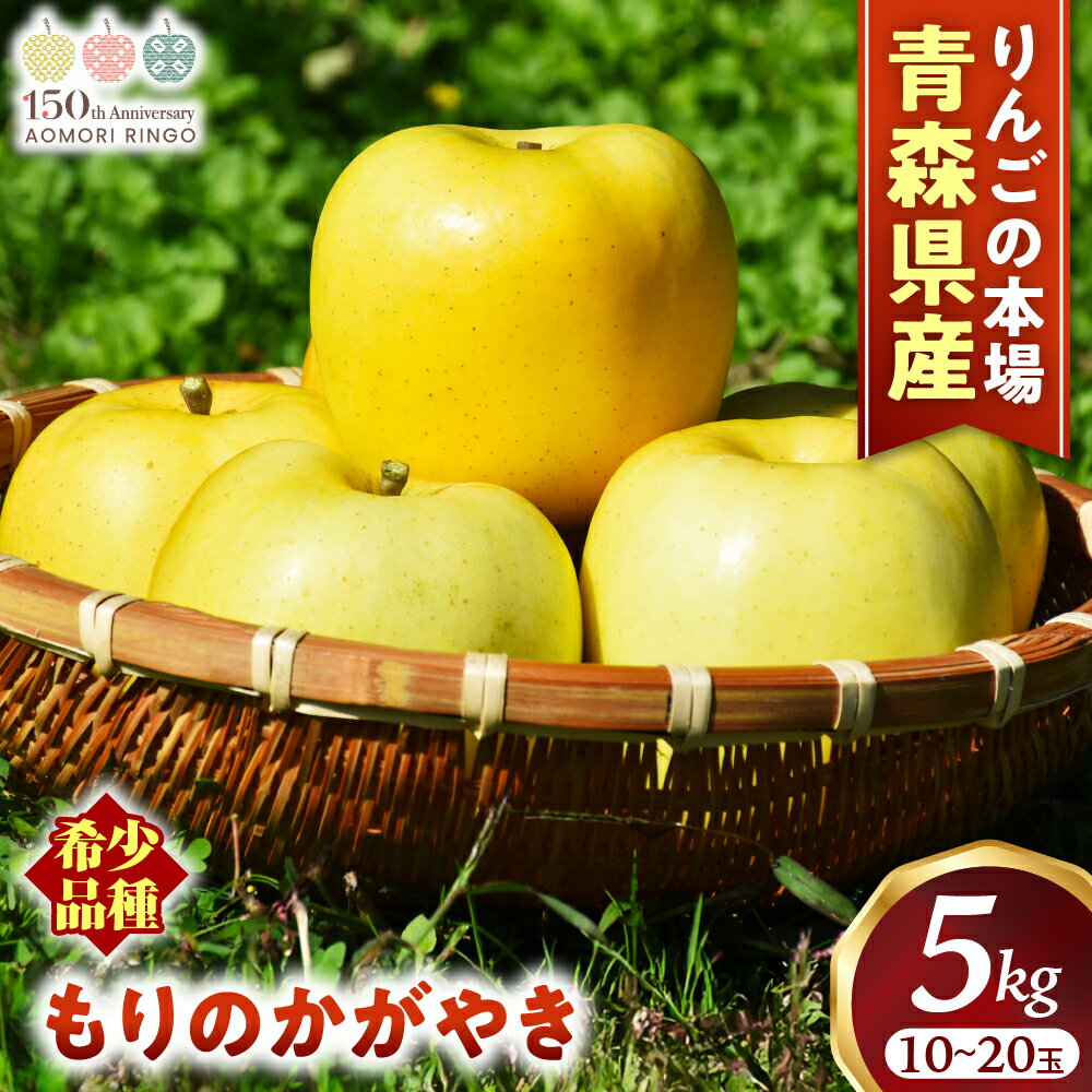 【ふるさと納税】希少！青森りんご【もりのかがやき】約5kg（10〜20玉）【2025年産・先行予約】★2025年10月上旬〜10月下旬頃まで発送予定★りんご 林檎 リンゴ 国産 もりのかがやき 希少 フルーツ 果物 贈答 土産 青森県 三戸町 R0101