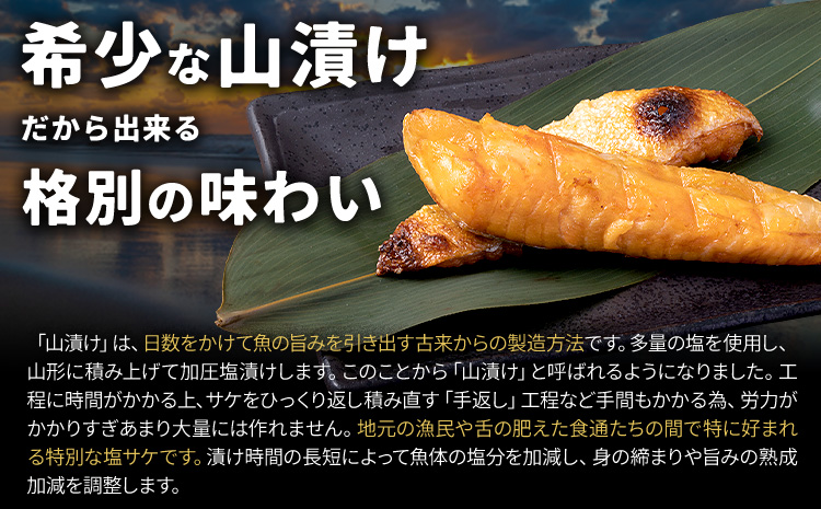 人気アイテム詰め合わせ 骨取り減塩銀鮭切身 1kg + 塩サーモンハラス 400g 合計 約1.4kg 株式会社西川《30日以内に出荷予定(土日祝除く)》千葉県 勝浦市 減塩 銀鮭 切身 骨取り 冷凍