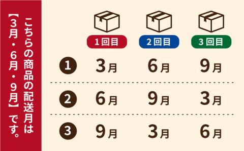 【全3回定期便】五島うどんギフト（白8本入）【五島あすなろ会 うまか食品】 [PAS008]