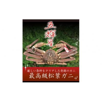 ふるさと納税 鳥取市 特選とっとり松葉ガニ「五輝星(いつきぼし)」【山根商店】