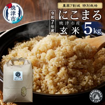 ふるさと納税 焼津市 令和7年産 農薬7割減 特別栽培 にこまる 玄米 5kg(a14-134)
