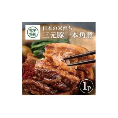 ふるさと納税 酒田市 【平田牧場】 三元豚 一本角煮 180g×1パック